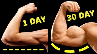 Quick 5Minute Arm Toning Workout Sculpt Your Arms Fast💪 No Equipment  Home Workout [upl. by Atnauqahs]