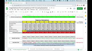 Pet Grooming Business Profit Forecasting Excel Spreadsheet  DoggieDashboard [upl. by Yoong855]