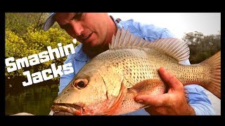 How to catch Mangrove Jacks  Fishing in Creeks  Skip Casting [upl. by Anaujat]