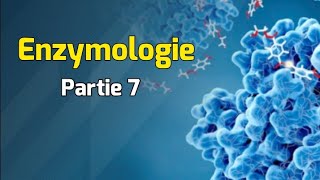 Régulation de l’activité enzymatique  Cours Enzymologie partie 7 [upl. by Edlin]