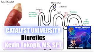 Diuretics  4 Major Classes  Mechanisms of Action [upl. by Etnom]