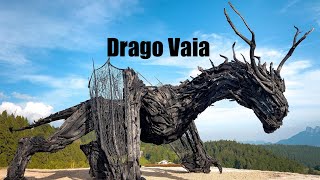 drago vaia  alpe cimbra [upl. by Peregrine]