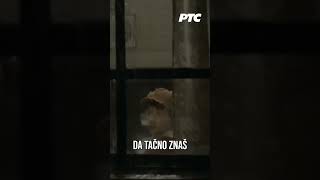 Život bez snova  Serija quotMontevideo Bog te videoquot RtsSerije shorts [upl. by Driscoll]