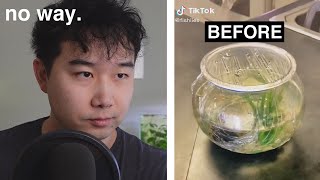 BEFORE and AFTER Betta Fish Tank  Fish Tank Review 242 [upl. by Aruon]