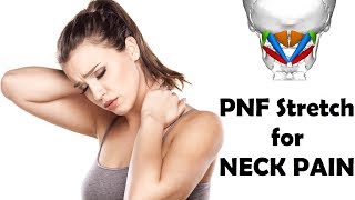 How to RELIEVE NECK PAIN with PNF Stretching for the SUBOCCIPITAL MUSCLES  Neck Stretches for PAIN [upl. by Ollopa]