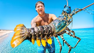 Catching Giant Lobsters For Food On Remote Island [upl. by Hernardo]