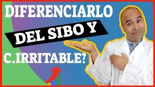 Síntomas de INTOLERANCIA a la lactosa 🤔 Y cómo diferenciarlos de otros➡️ Problemas Digestivos [upl. by Dleifniw939]