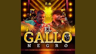 El Gallo Negro [upl. by Tnirb331]