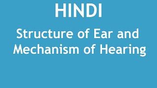 Structure of Ear and Mechanism of Hearing HINDI  Dr Shikha Parmar [upl. by Jopa674]