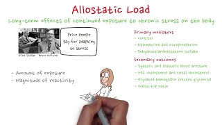 Allostatic load [upl. by Odravde]