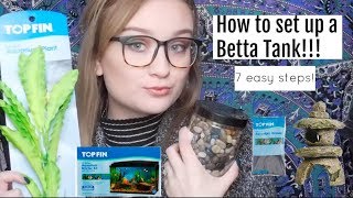 HOW TO SET UP A BETTA FISH TANK  7 easy steps [upl. by Ricker]