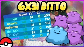 HOW TO GET 6X31 DITTO IN POKÉMON BRICK BRONZE ALL COPIES [upl. by Strepphon787]