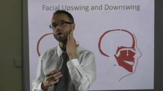 Facial Upswing And Downswing By Dr Mike Mew [upl. by Urbas708]