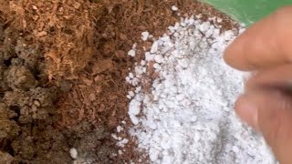 How to reuse your old soil  purani mitti ko nayi aur nutritionrich kaise banaye  winter garden [upl. by Fabria124]