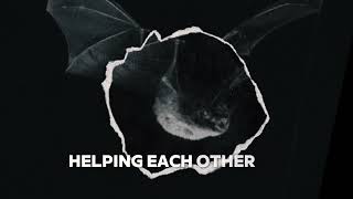 Goth Karaoke  singalong  Bat bats bats  Charity Video [upl. by Irem]