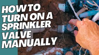 How To Turn On A Sprinkler Valve Manually  Rain Bird PGA Valve [upl. by Kape]