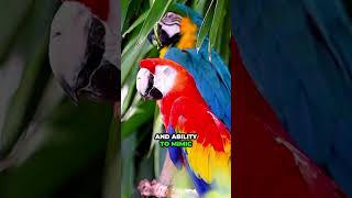 Amazing Interesting Facts About Animals Part 30  interestingfacts animals [upl. by Latsirk545]