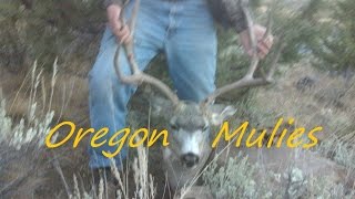 Successful Eastern Oregon Mule deer hunt [upl. by Tnelc693]