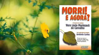 LEITURA DO LIVRO MORRI E AGORA CAPÍTULO 3  Canal Mensageiros da Luz [upl. by Eloccin]