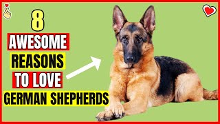 8 Awesome Reasons to Love German Shepherds as Your Perfect Canine Companion [upl. by Amaras]