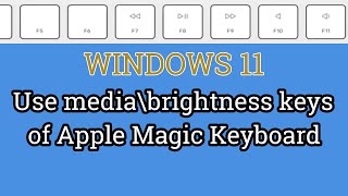 Windows 11  Use MediaBrightness Keys of Apple Magic Keyboard [upl. by Kask]