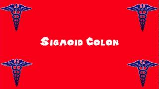 Pronounce Medical Words ― Sigmoid Colon [upl. by Mersey]