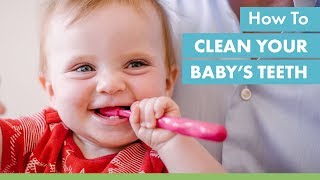 How to Clean Your Babys Teeth [upl. by Mika]