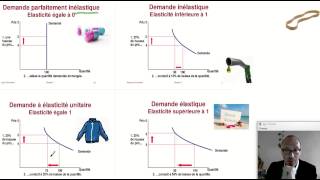 Comprendre les élasticités le cas de lélasticitéprix de la demande ECONOMIE [upl. by Sieber882]