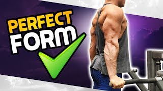 How To Chest OR Triceps Dip 3 GOLDEN RULES MADE BETTER [upl. by Ydospahr]