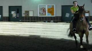 quotYour Love is My Drugquot Horse Video Contest [upl. by Nadirehs329]