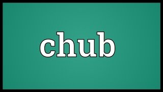 Chub Meaning [upl. by Yrevi]