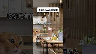 当南方人去东北吃饭 猫meme小剧场 意想不到的结局 猫meme日常 万万想不到 南北饮食大不同 猫 cat funny 猫meme [upl. by Tselec]