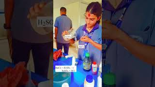 Precipitating Property of Sulphuric acid H2SO4 ChemistryScienceExperimentsChemicalReactions [upl. by Higinbotham]