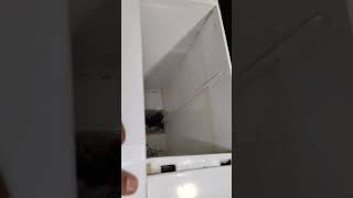 Whirlpool water purifier service at home filter repair at home normal serviceing pree filter replace [upl. by Bergstrom]