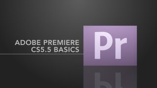 Adobe Premiere Pro Basics [upl. by Branen]