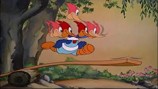 Woody Woodpecker Pantry Panic 1941 [upl. by Hsotnas]