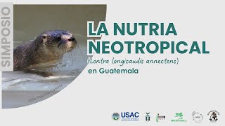 NUTRIA [upl. by Yannodrahc774]