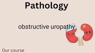 L3  pathology obstructive uropathyrenal 42 [upl. by Hanzelin]