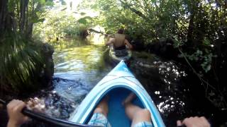 Peconic River Kayak Trip 82311 Part 2 [upl. by Ekyt]