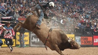 Bulls That Have WRECKED The Most Riders Top 3 Buckoff Streaks Right Now  2019 [upl. by Cale]