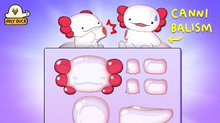 Axolotls are gummies Popin Cookin [upl. by Dedie]