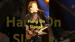 Hang On Sloopy needforlead guitarsolo shorts [upl. by Aliber]