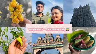 Kanyakumari  Thiruchendur vlog  Suchindram  Marungoor Murugan temple [upl. by Ientruoc]