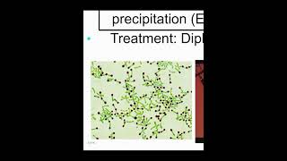 Gram Positive Bacilli NonSpore formingCdiphtheriae amp Listeria Monocytogenes [upl. by Alford929]