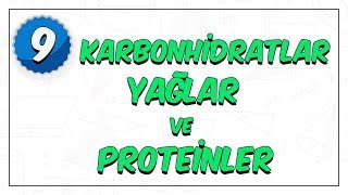 9 Sınıf Biyoloji  Enerji Veren Organik Bileşikler  Karbonhidratlar Yağlar Proteinler [upl. by Yelhak]