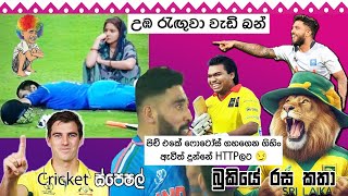 CRICKET Special 🏏🏆ICC World Cup Final  Bukiye Rasa Katha Part  23  India Vs Australia [upl. by Adnil]