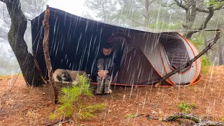 2 Days in the Forest in Heavy Rain • Rain Camping Rainstorm Flood Bad Weather [upl. by Jahdal]