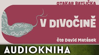 Otakar Batlička  V divočině  Audiokniha [upl. by East]