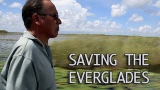 Saving the Everglades [upl. by Dafodil204]