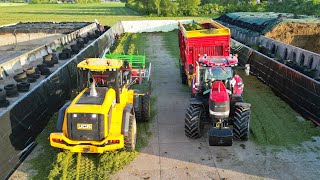 Grass Silage  New Holland FR600  Case IH  DeutzFahr  NLR Agri  Heerikhuize  2024 [upl. by Ailemor]